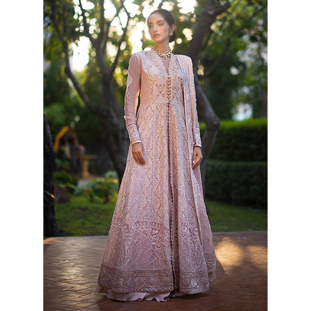 Roohi Unstitched Luxury Collection Aanya